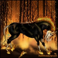 Horse Color:Void Buckskin Dun Sabino Snowcap 