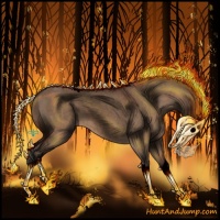 Horse Color:Void Bay Roan Dun Tobiano 