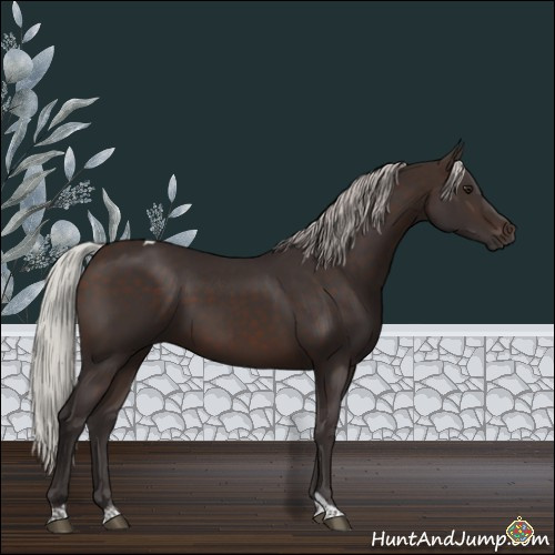 Horse Color:Silver Brown Tobiano