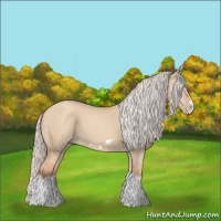 Horse Color:Silver Classic Champagne Dun Splash Frame