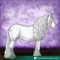 Horse Color:White Spotted Silver Perlino Appaloosa 