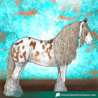 Horse Color:White Spotted Chocolate Palomino Near Leopard 