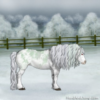 Horse Color:Painted White Spotted Silver Grullo Chinchilla Ice Roan Splash Appaloosa 