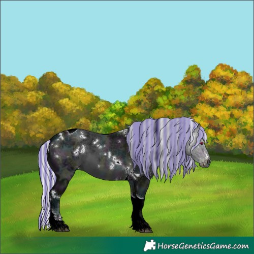 Horse Color:Painted White Spotted Midnight Silver Brown Chinchilla Ice Tobiano 