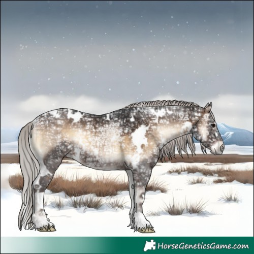 Horse Color:White Spotted Silver Brown Ice Onyx Rabicano 