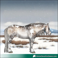 Horse Color:White Spotted Silver Brown Ice Onyx Rabicano 