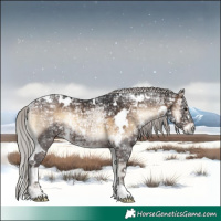 Horse Color:White Spotted Silver Brown Ice Onyx Rabicano 