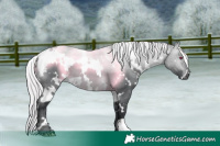 Horse Color:White Spotted Silver Brown Chinchilla Dun