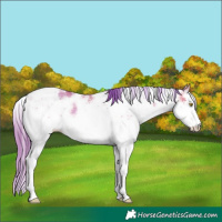 Horse Color:Watercolor Bay Pearl Dun Sabino 