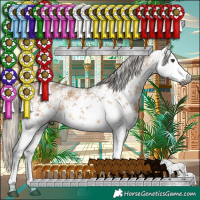 Horse Color:Gray White Spotted Silver Bay Dun Sabino Rabicano