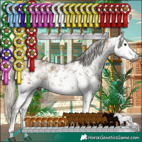 Horse Color:Gray White Spotted Silver Bay Dun Sabino Rabicano 