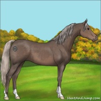Horse Color:Silver Black 