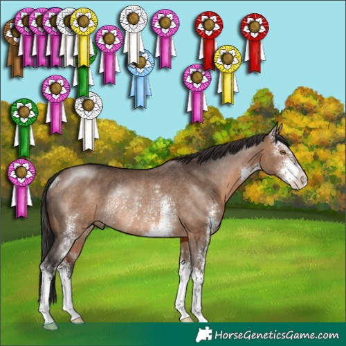 Horse Color:Brown Dun Sabino Rabicano 