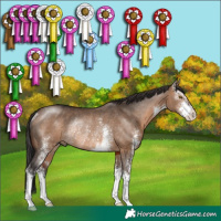 Horse Color:Brown Dun Sabino Rabicano 