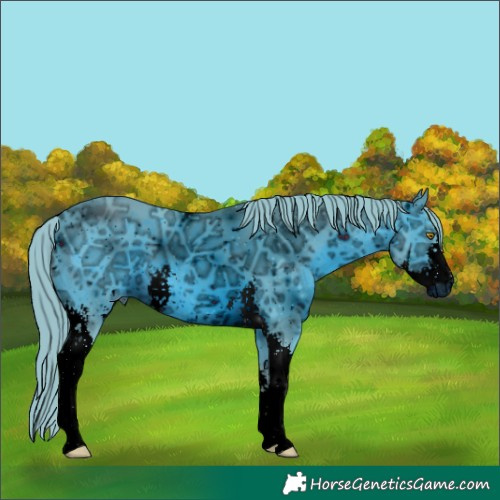 Horse Color:ERROR: UNKNOWN ANOMALY