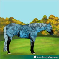 Horse Color:ERROR: UNKNOWN ANOMALY