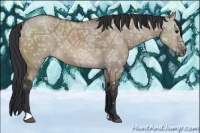 Horse Color:Brown Ice Dun