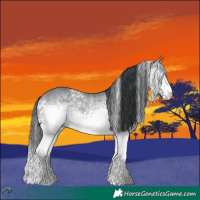 Horse Color:White Spotted Brown Chinchilla Dun 