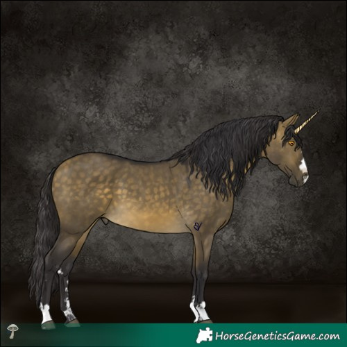 Horse Color:Buckskin Dun Mushroom 