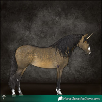 Horse Color:Buckskin Dun Mushroom 