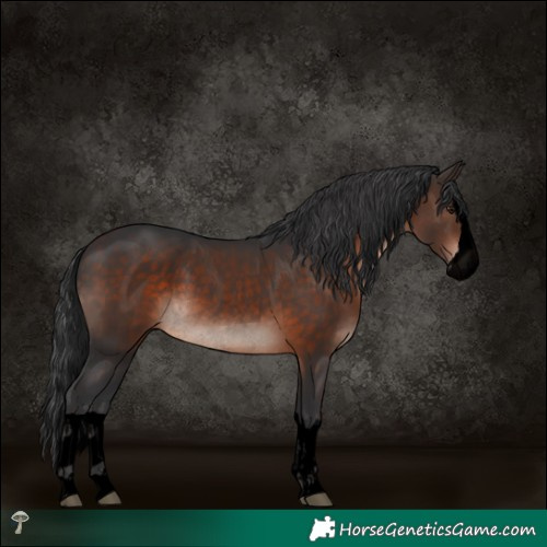 Horse Color:Void Brown Mushroom Splash Rabicano 