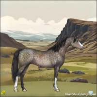 Horse Color:Platinum Buckskin 