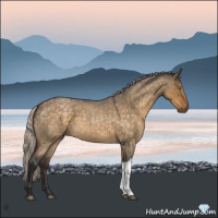 Horse Color:Silver Buckskin Roan Dun 