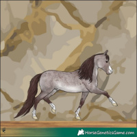 Horse Color:Platinum Chocolate Brown Roan Dun 