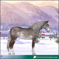 Horse Color:Platinum Chocolate Silver Buckskin 