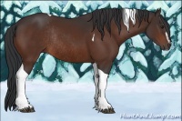 Horse Color:Brown Sabino Tobiano Rabicano
