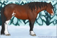 Horse Color:Brown Sabino 