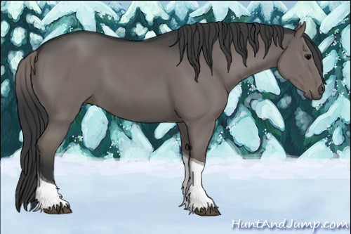 Horse Color:Grullo Tobiano Rabicano