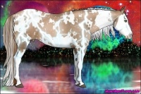 Horse Color:White Spotted Liver Chestnut Pearl Splash 
