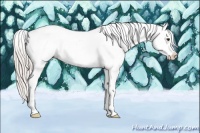 Horse Color:Silver Brown Dun Sabino Splash 