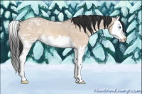 Horse Color:Brown Ice Dun Sabino Splash 