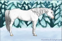 Horse Color:Grullo Sabino Splash 