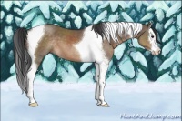 Horse Color:Brown Dun Sabino Splash Tobiano 