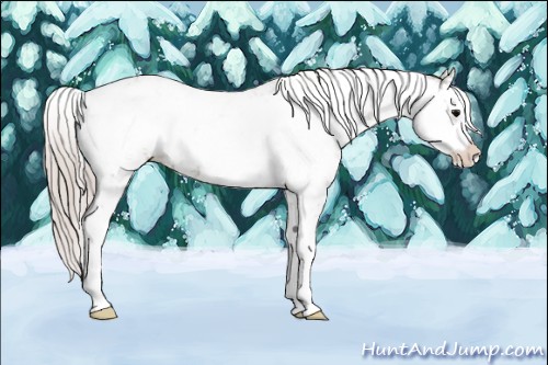 Horse Color:Silver Grullo Sabino
