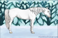 Horse Color:Silver Grullo Sabino 
