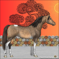 Horse Color:Buckskin Sabino Tobiano and Buckskin Dun Tobiano