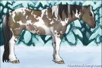 Horse Color:White Spotted Brown Dun Tobiano Rabicano 