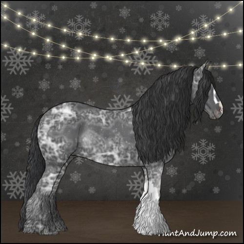 Horse Color:Black Ice Rabicano 