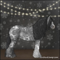 Horse Color:Black Ice Rabicano