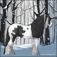 Horse Color:Black Tobiano Frame Varnish