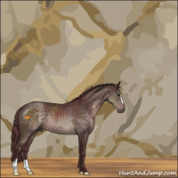 Horse Color:Platinum Chocolate Buckskin 