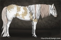Horse Color:White Spotted Chocolate Palomino Dun Splash 