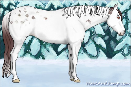 Horse Color:Chocolate Brown Chinchilla Ice Mushroom Splash Tobiano Rabicano 