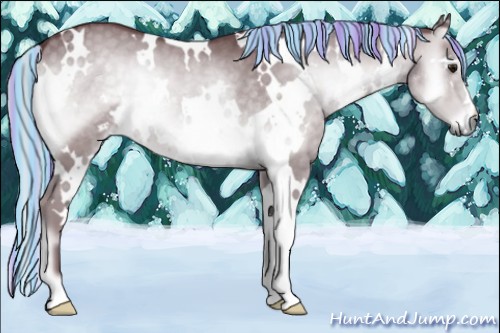 Horse Color:Painted White Spotted Chocolate Silver Blue Onyx Chinchilla 