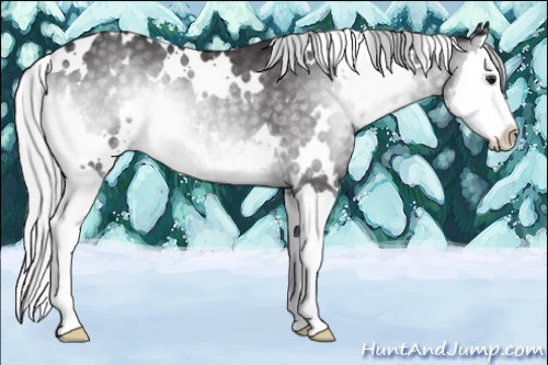 Horse Color:White Spotted Silver Smoky Blue Onyx Chinchilla Splash 