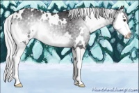 Horse Color:White Spotted Silver Smoky Blue Onyx Chinchilla Splash 